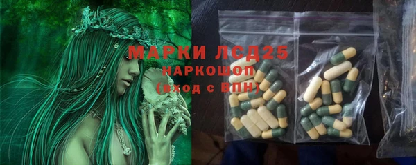 PSILOCYBIN Алексеевка